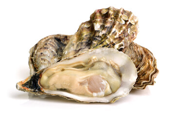 Fresh opened oyster on white background