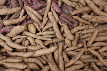 Raw potato in the market 