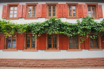 Orange shutters on a building with grapevines growing on it in Bockenheim, Germany along the wine route.