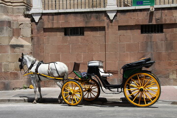 Horse-drawn carriage for tourists on the street of the Spanish city of Malaga