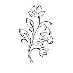 ornament 1556. twig with leaves and with stylized flowers in black lines on a white background