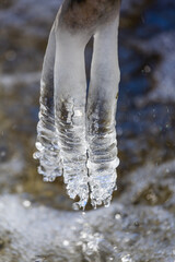 Icicles in the spring stream