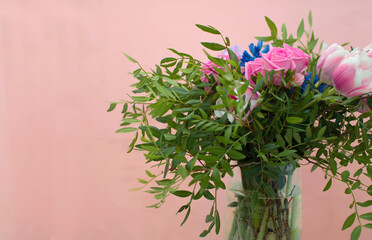 Summer blooming delicate roses on festive background, pastel and soft bouquet. Panoramic view: bouquet of roses, spring color. Horizontal border: buds, green leaves on pink background