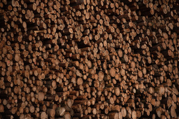 Background of cut wood logs stacked in a pile. wood for the production of chipboard