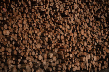 Background of cut wood logs stacked in a pile. wood for the production of chipboard