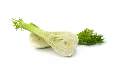 Fennel Bulb. Fresh fennel bulb with leaves on white background.