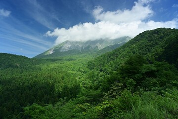 Obraz premium 夏の大山