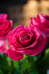 Beautiful flower bouquet of pink rose.