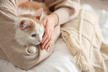 Plakat Woman with cute fluffy cat and pillow on blurred background, closeup
