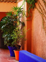 Cosy oriental inner yard with colorful flower pots