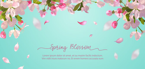 Spring Blossom Background - 415370706