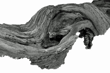 Driftwood texture 