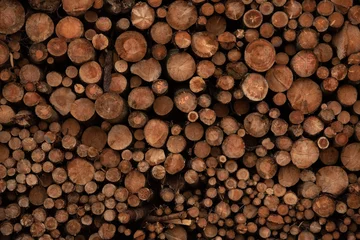 Fotobehang Background of cut wood logs stacked in a pile. wood for the production of chipboard © PHOTOLIFESTYLE