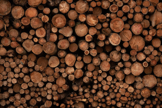 Background of cut wood logs stacked in a pile. wood for the production of chipboard