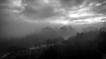 Misty Wood, Boden Boo, Erskine, Renfrewshire, Scotland, UK
