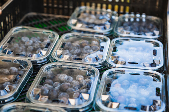 Blueberries in clear plastic tray. Freshly harvested blueberries on the farmyard, food concept.