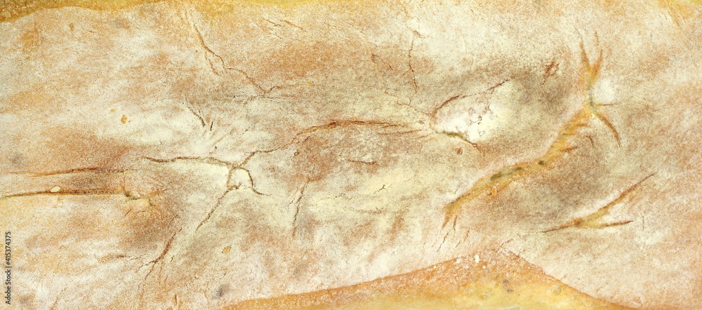 Poster Texture of the underside of the bread made from wheat flour with a delicious gold crust close-up. Photo of food.