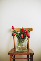 a bouquet of red tulips in a transparent vase stands on a wooden chair on a white background March 8 mother's day