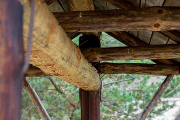 the wooden pergola is a dressing room with nails to things in nature. wooden log house