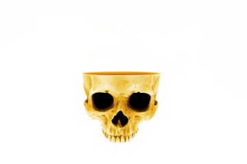 Digital photo collage a skull open at the top. Isolated on white. 
