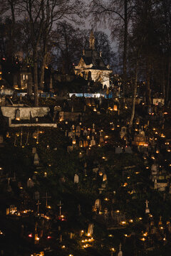 Rasos Images – Browse 149 Stock Photos, Vectors, and Video | Adobe Stock