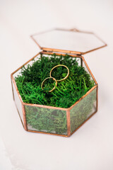 soft focus, close-up wedding decor on white background - newlyweds rings on green moss in a glass box