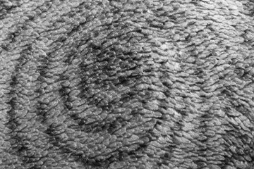 black and white streaks on the plush surface in the form of circles