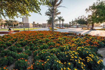 Wonderful evening view in Dammam park - City : Dammam, Saudi Arabia. Selective focused and background blurred.