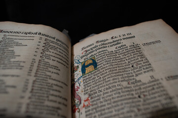 A lavishly illustrated book published in 1510 by Froben and Amerbach on the Carthusians. This book has hand coloured wood engravings and illuminated gold leaf initials. It is printed with Latin text.