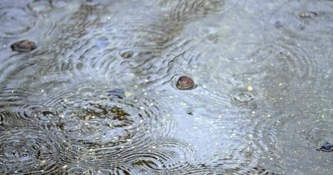 Sad rainy day concept with wet surfaces