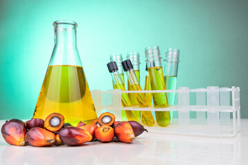 Oil palm fruits with distilled in beaker test tubes in laboratory.