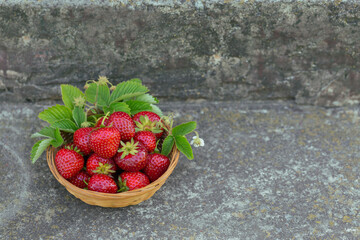 Heap of fresh strawberries in a basket bowl on concrete background