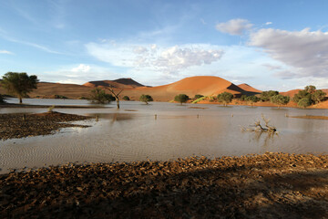 Sossusvlei landscape full of water after good rain
