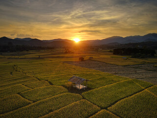 rice field at sunset, Pai, Thailand