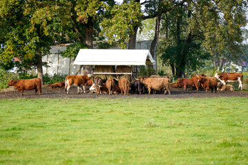 Artificially created park in Germany Bavaria for recreation