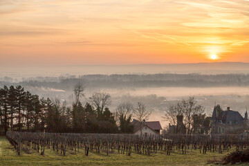 Nebel über dem Rhein im Sonnenaufgang bei Oppenheim