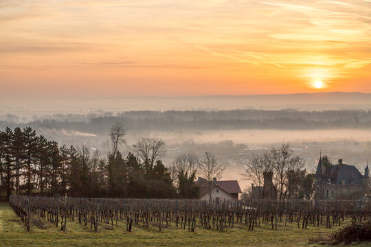 Nebel &uuml;ber dem Rhein im Sonnenaufgang bei Oppenheim