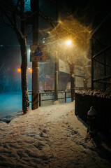 Snowy night 