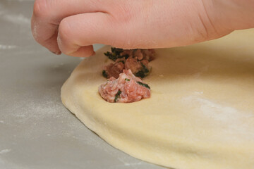 Cooking homemade dumplings. Spread minced meat with spinach on rolled thin dough. Close-up,...