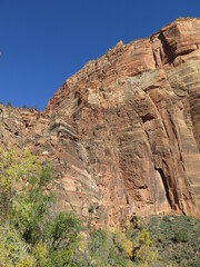 Fototapeta premium the view from the start of the trail to Angels Landing, in the Zion National Park in Utah in the month of November, USA
