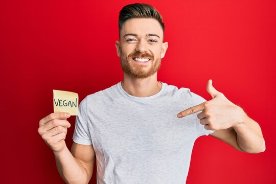 Young redhead man holding sticker with vegan word pointing finger to one self smiling happy and proud