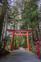 箱根神社 - 第三鳥居