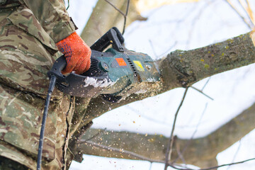 Sawing a tree. A man works with an electric saw on a tree. Pruning trees.