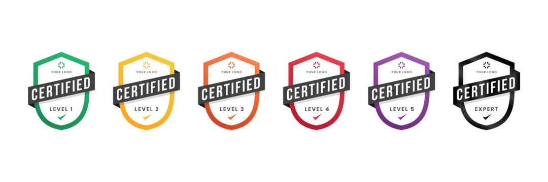 Certified logo badge. Criteria level digital certificate with shield logo line. vector illustration icon secure template.