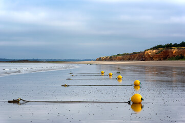 Low tide in the Morbihan coast . Penestin  Gold Mine beach