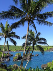 Fototapeta na wymiar the Waianapanapa State Park in Hana on Maui island, Hawaii, January
