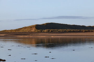 sand hill. grass dune. Tramore nature reserve. Waterford. Ireland.