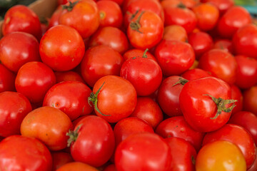 Fresh Produce from Market Mallorca