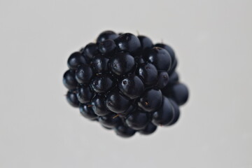 blackberries on a white background close up