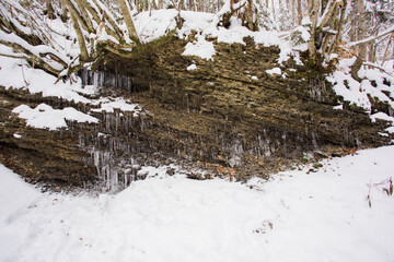the stream flows in a snowy forest